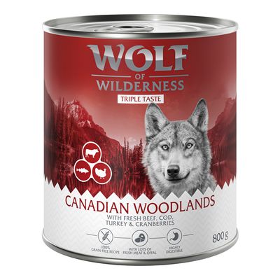 Wolf of Wilderness The Taste Of dorsz, indyk, wołowina adult 800 g × 24