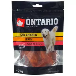 Ontario kurczak adult 70 g