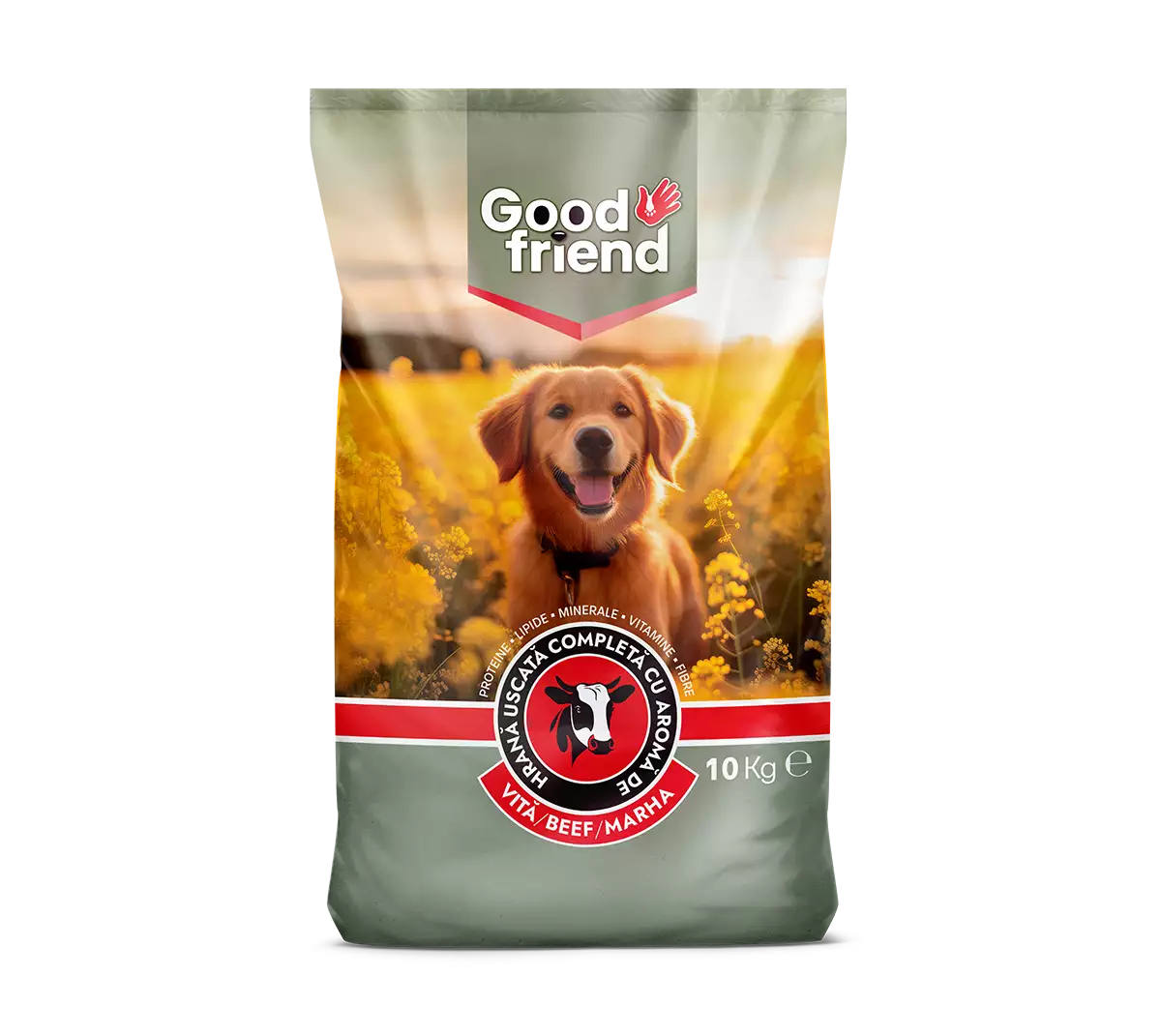 Good Friend Menu Complete wołowina adult 10 kg