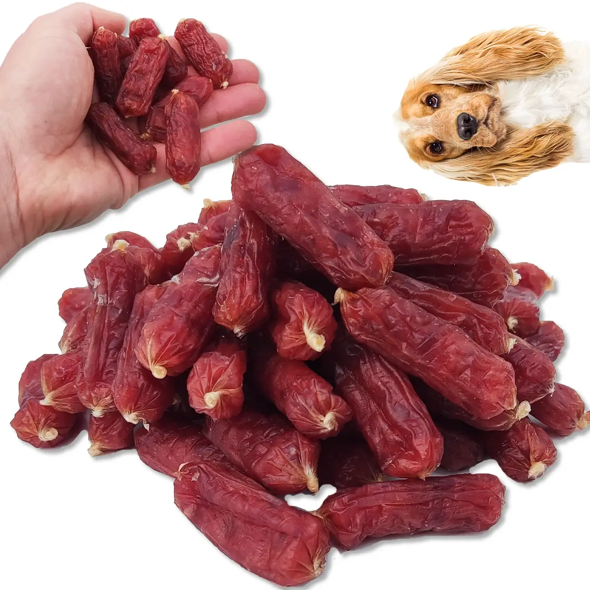 ZooPoint Snacks jagnięcina junior 500 g