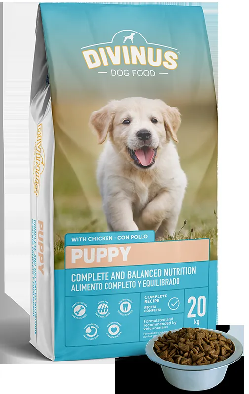 Divinus królik, kurczak, wołowina puppy 4 kg