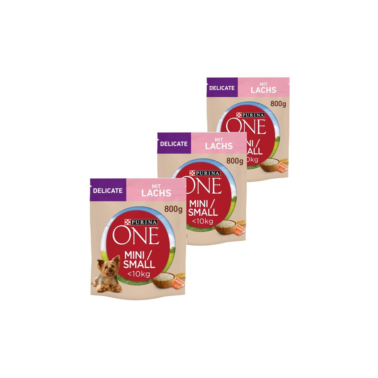 Purina ONE Mini Delicate łosoś adult małe rasy 800 g × 3