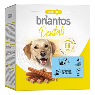 Briantos Dentals duże rasy 39 g × 56