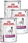 Royal Canin Renal Special kurczak, wieprzowina, łosoś adult 410 g × 6