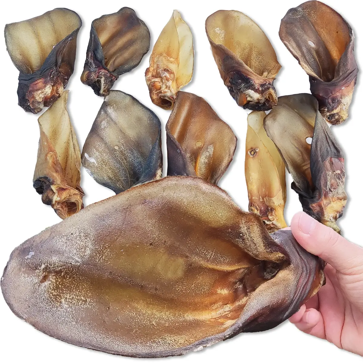 Petmex wołowina adult 60 g × 10