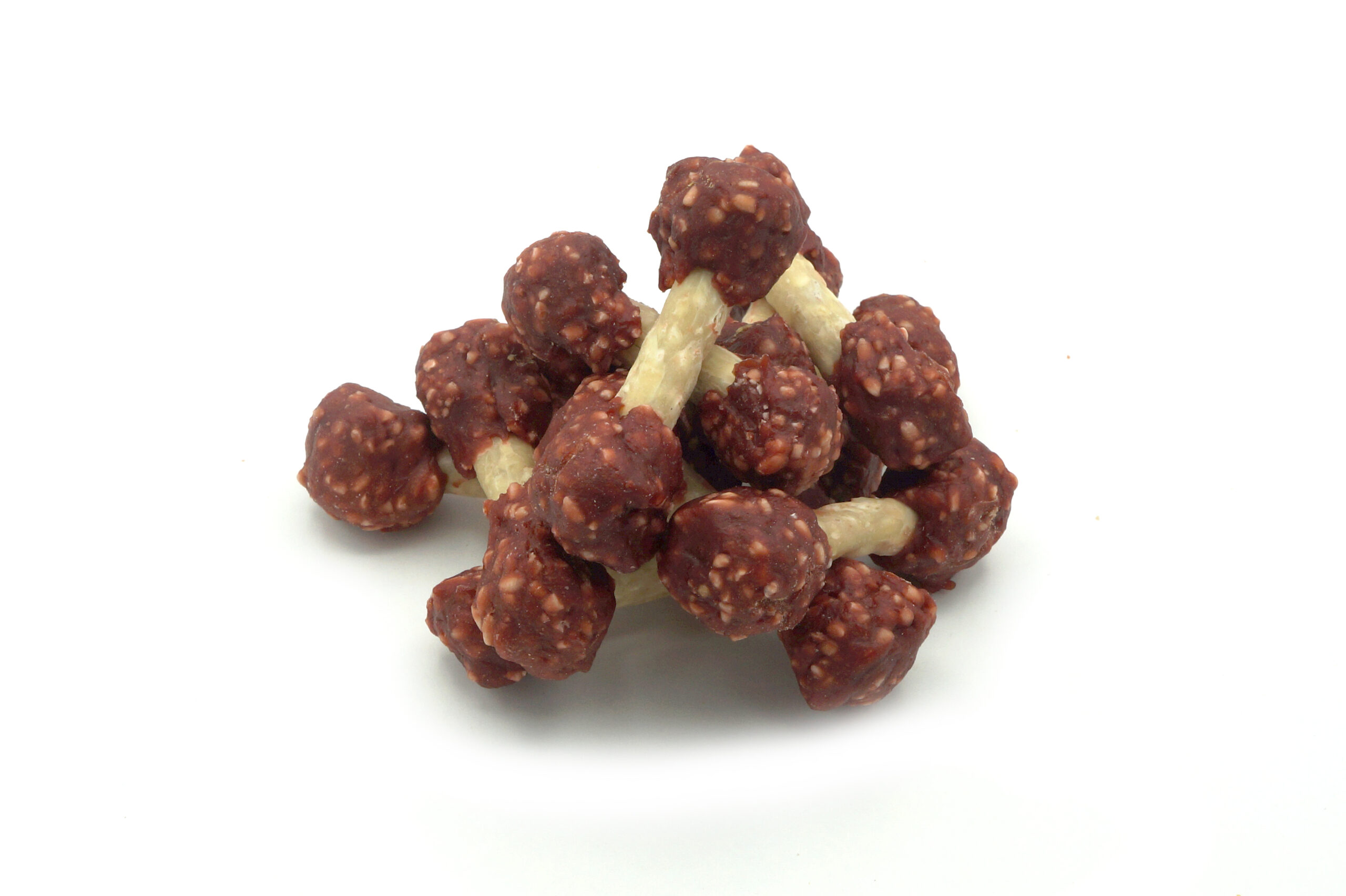 Master Dog jagnięcina z ryżem 500 g
