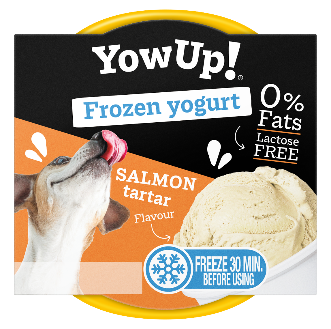 Yow Up! Frozen Yogurt łosoś 110 g