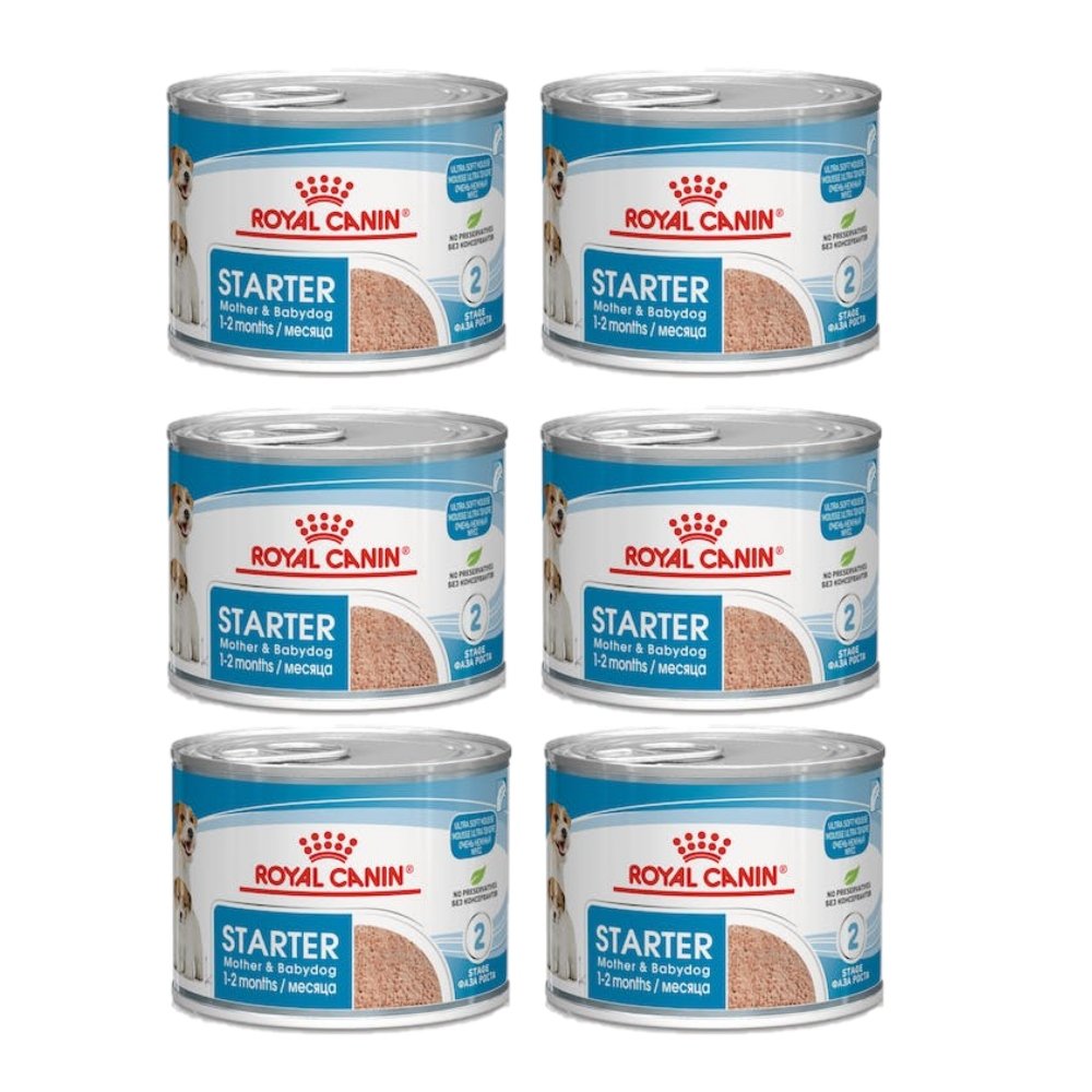Royal Canin Starter puppy 195 g × 6
