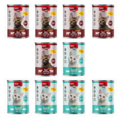 Buba Daily mix smaków w sosie 400 g × 10