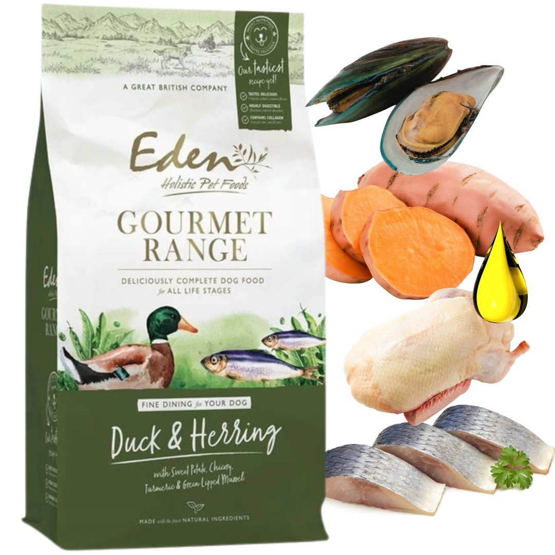 Eden Gourmet kaczka, śledź 10 kg