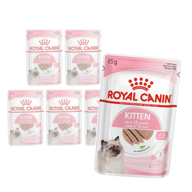 Royal Canin drób pasztet kitten 85 g × 6