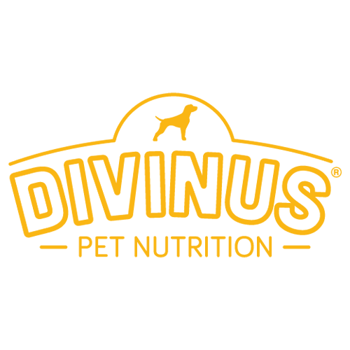 Divinus