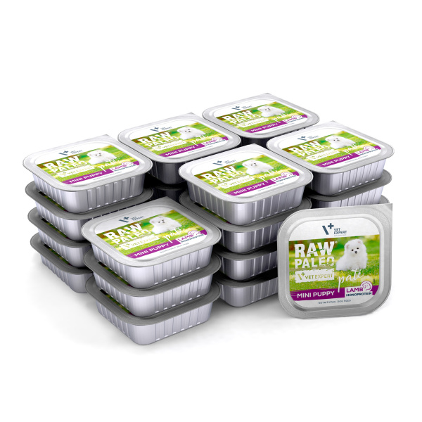 VetExpert Raw Paleo jagnięcina puppy małe rasy 150 g × 24