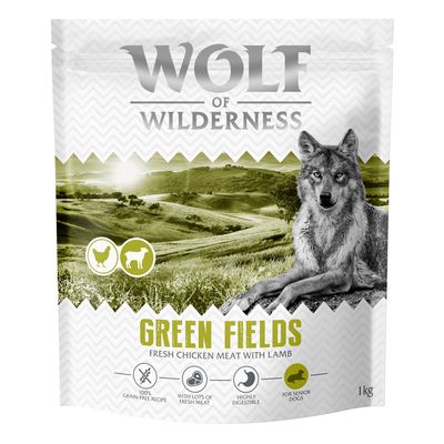 Wolf of Wilderness jagnięcina senior 1 kg × 4
