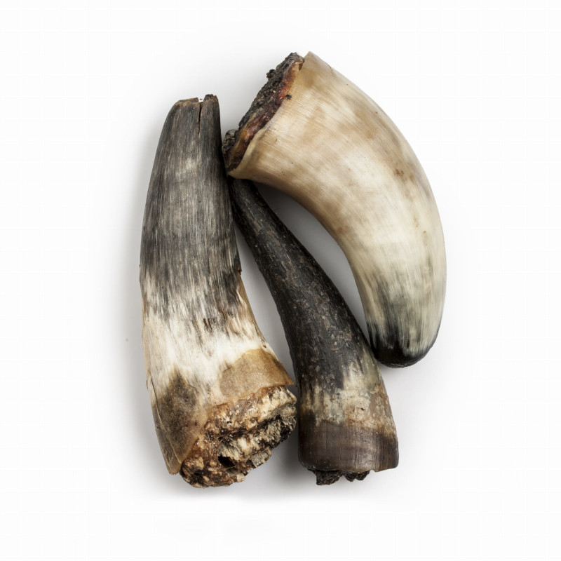 Balto wołowina duże rasy 125 g × 2