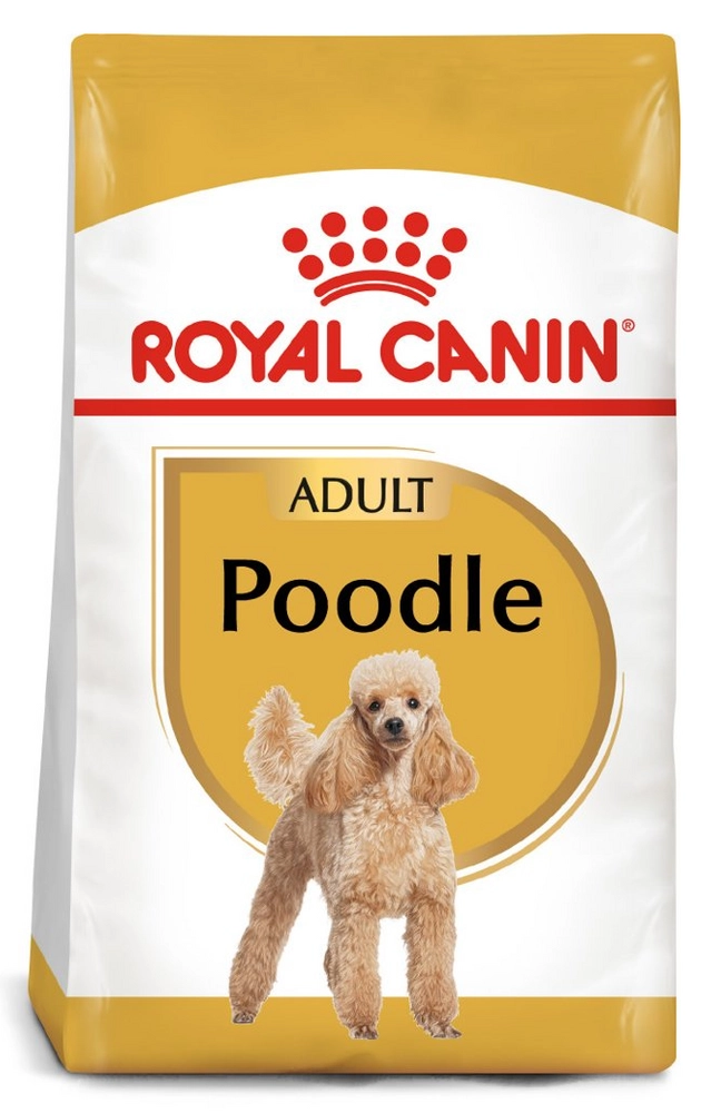 Royal Canin Poodle kurczak adult 1,5 kg