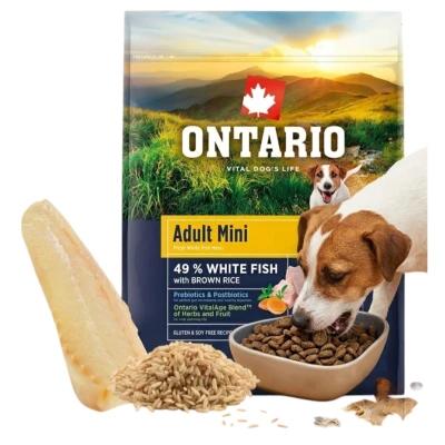 Ontario biała ryba adult małe rasy 2,25 kg