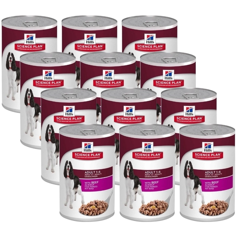 Hill's Science Plan wołowina adult 370 g × 12