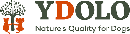 Ydolo