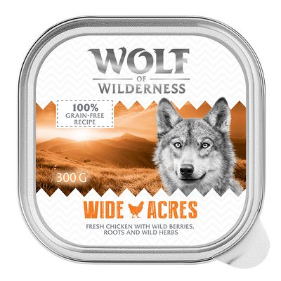 Wolf of Wilderness Monoprotein kurczak adult 300 g × 24