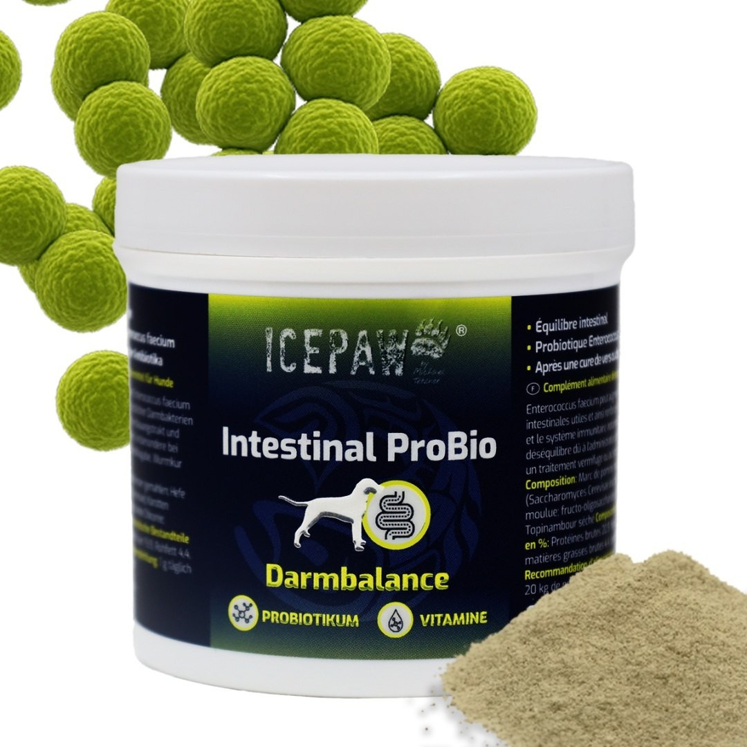 ICEPAW Intestinal ProBio 90 g