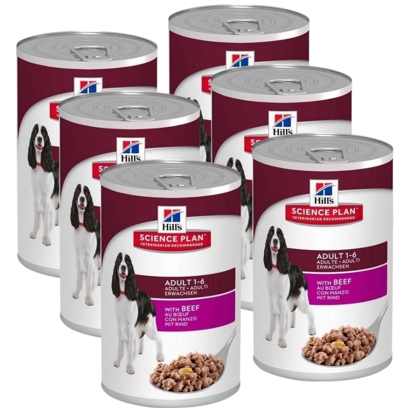Hill's Science Plan wołowina adult 370 g × 6