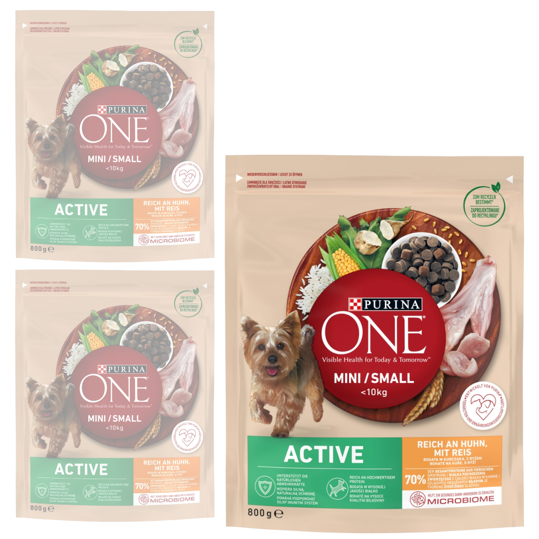 Purina One Mini Active kurczak małe rasy 800 g × 3