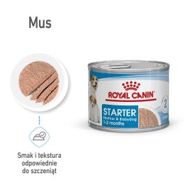 Royal Canin Starter Mousse kurczak 195 g × 12