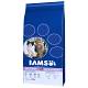 IAMS kurczak, łosoś adult 15 kg