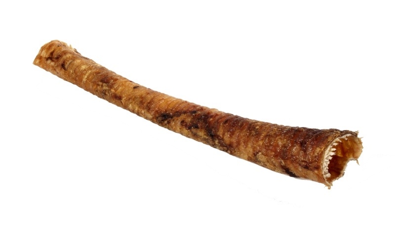 ARTEX tchawica długa