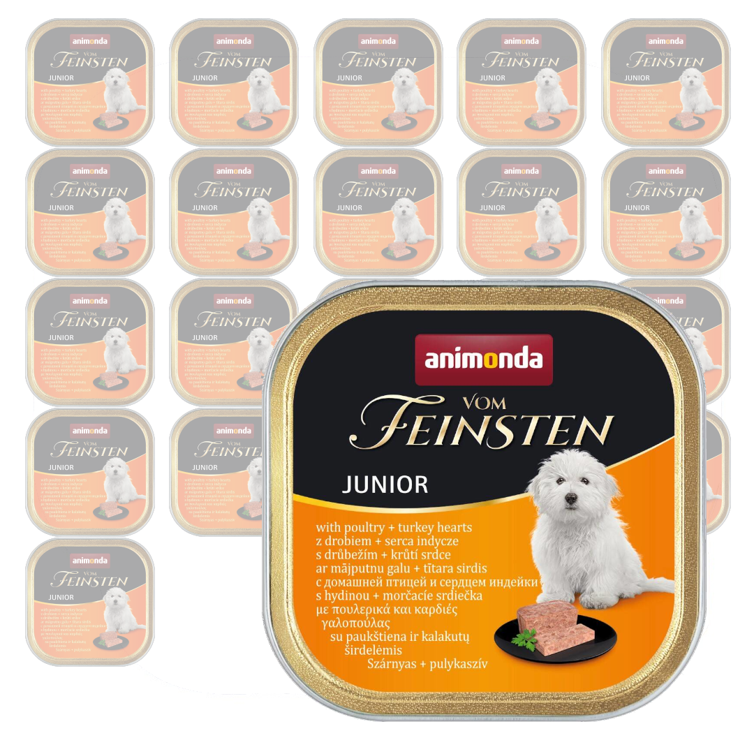 Animonda Vom Feinsten drób, indyk junior 150 g × 22