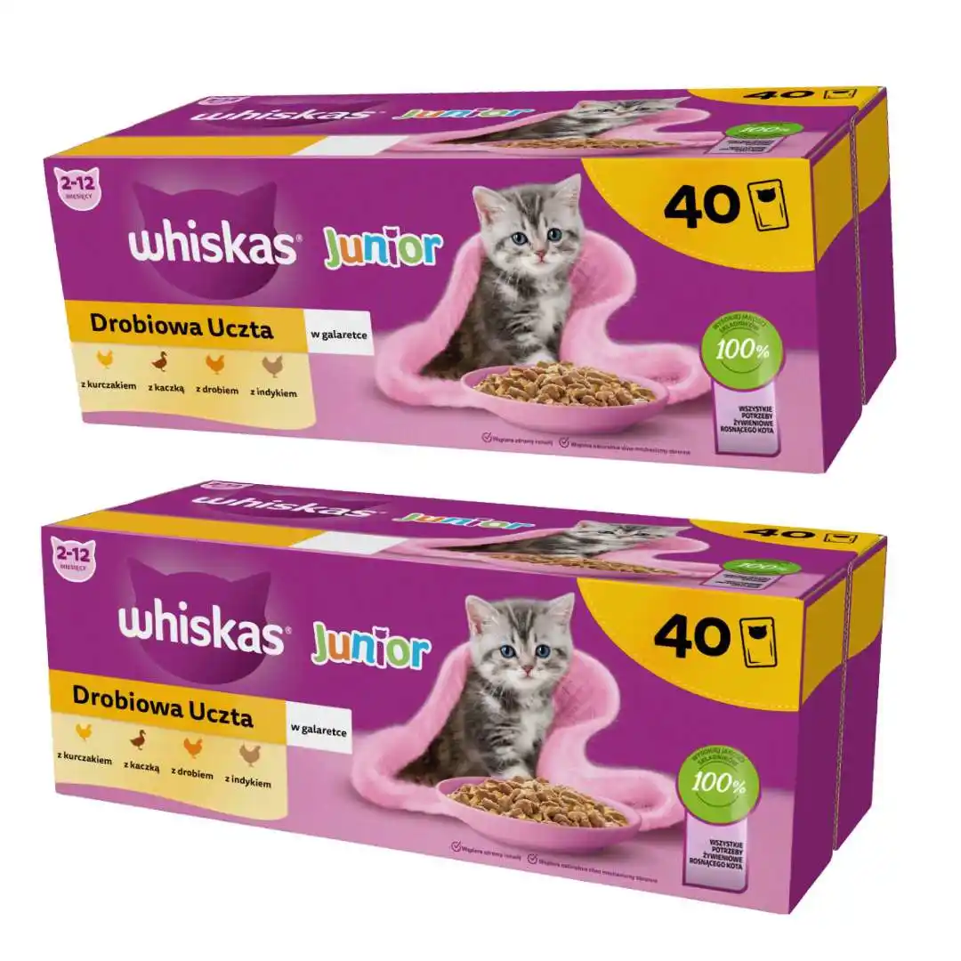 Whiskas Junior mix smaków w galaretce kitten 85 g × 80