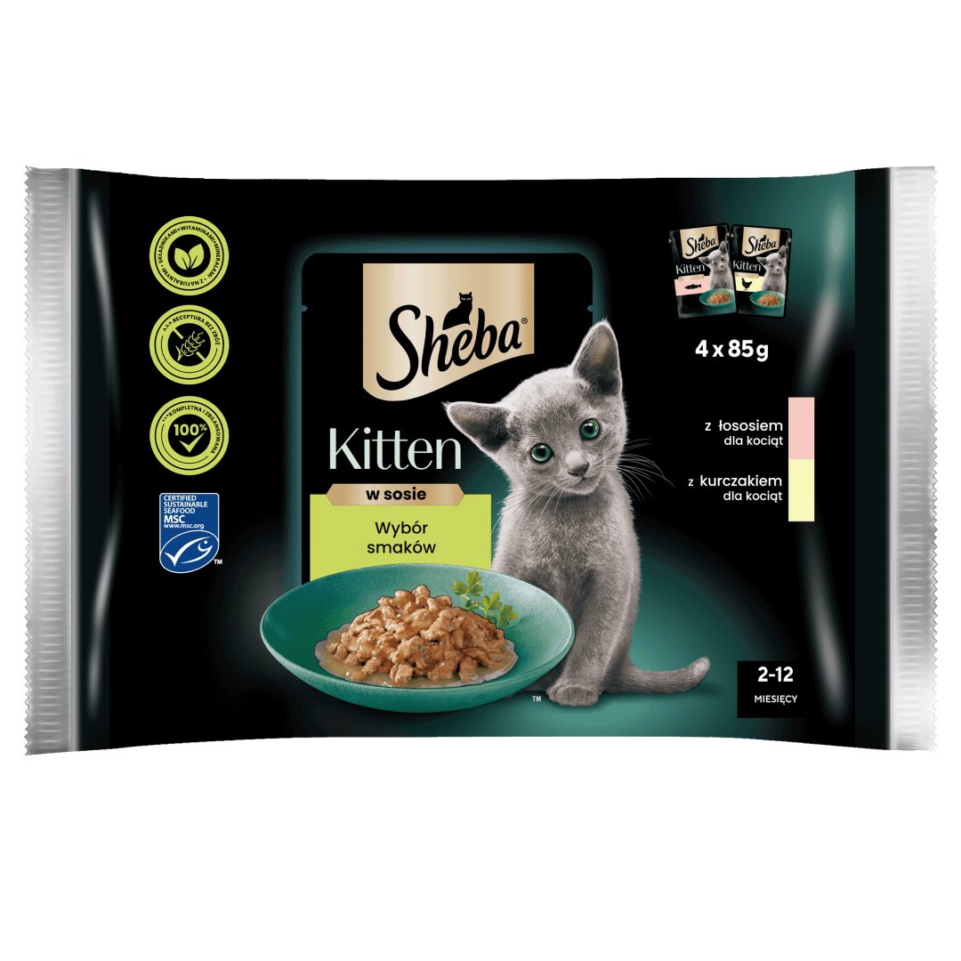 Sheba Kitten mix smaków w sosie kitten 85 g × 4