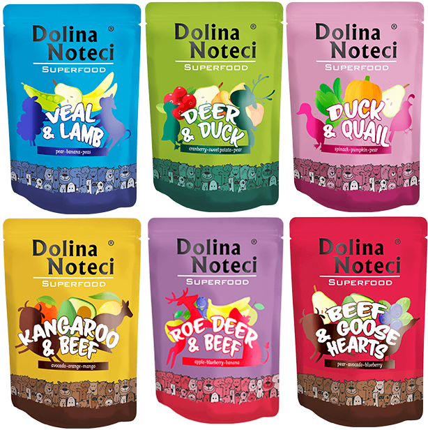 Dolina Noteci Superfood adult 300 g × 12