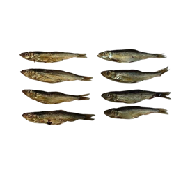 ARAMI szprot 200 g