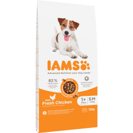 IAMS Advanced Nutrition kurczak adult małe i średnie rasy 12 kg