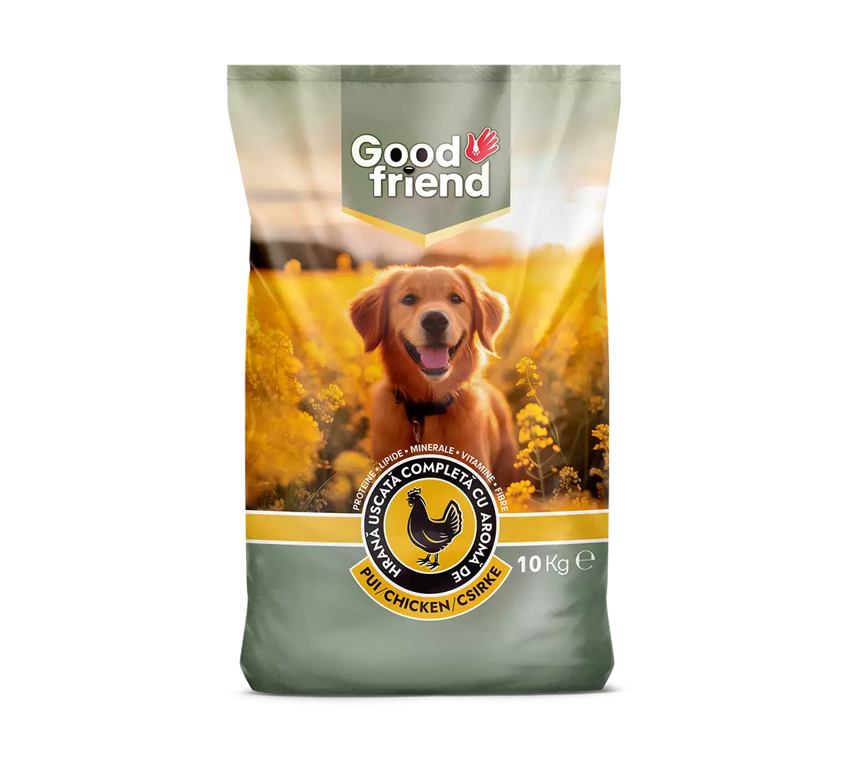 Good Friend Menu Complete kurczak adult 10 kg