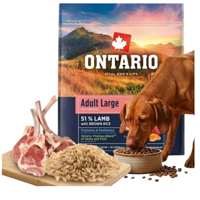Ontario jagnięcina adult duże rasy 2,25 kg