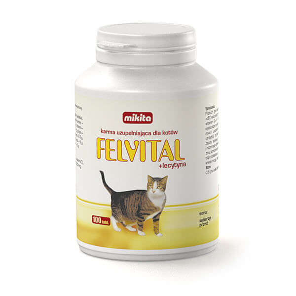 Mikita Felvital lecytyna