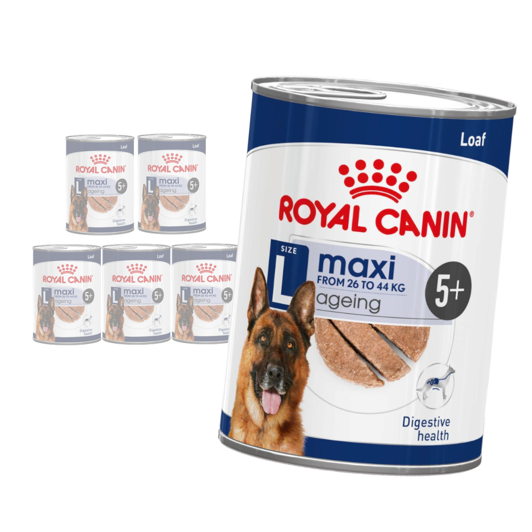 Royal Canin Maxi Ageing senior duże rasy 410 g × 6