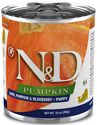 Farmina N&D Pumpkin jagnięcina puppy 285 g