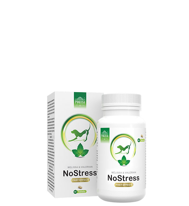 Pokusa NoStress
