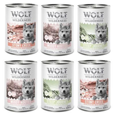 Wolf of Wilderness Expedition pakiet mieszany junior 400 g × 6