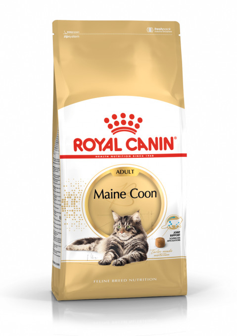 Royal Canin Maine Coon Mobility kurczak adult 4 kg