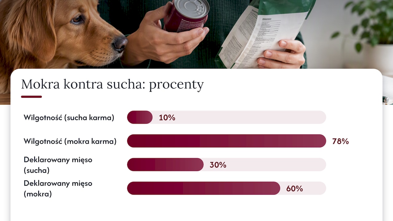Porównanie zawartości mięsa w karmie w procentach