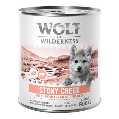 Wolf of Wilderness Expedition drób, wołowina junior 800 g × 6