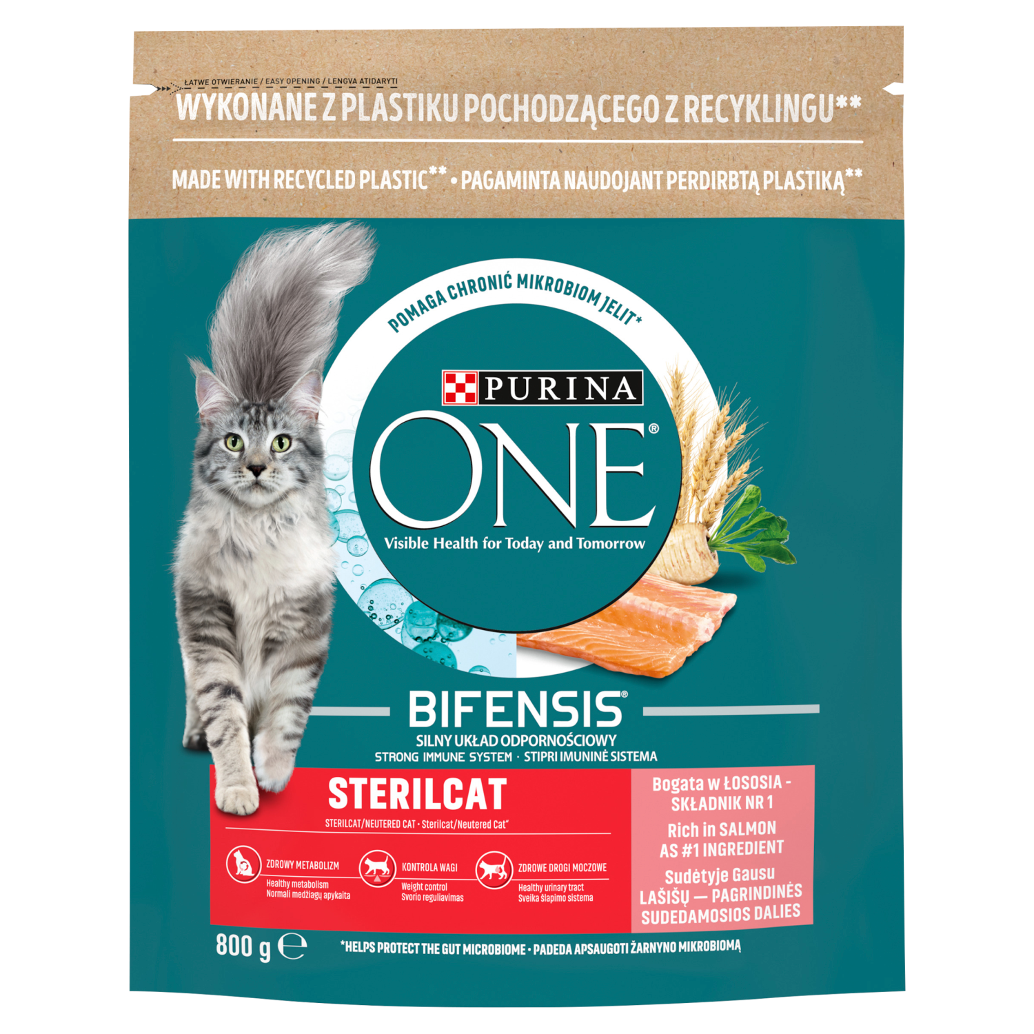 Purina ONE Sterilised łosoś 800 g