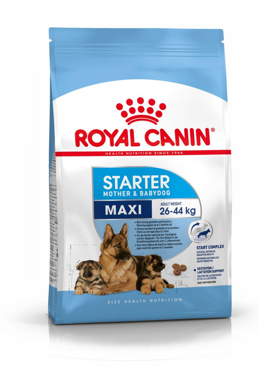 Royal Canin Maxi Starter junior duże rasy 15 kg