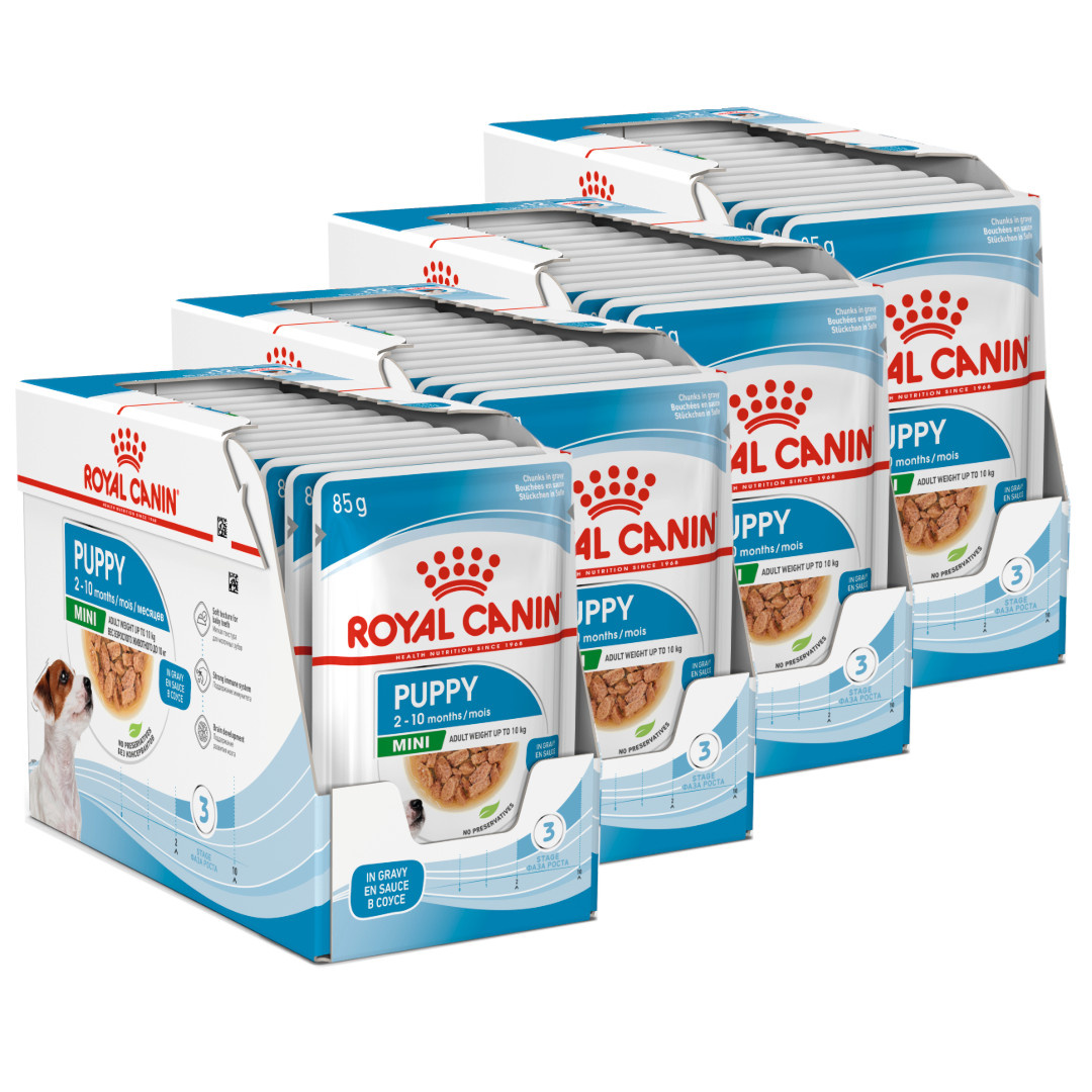 Royal Canin Mini Puppy junior małe rasy 85 g × 48