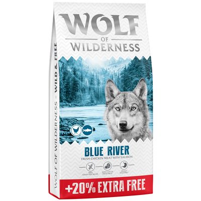 Wolf of Wilderness Blue River łosoś adult 14,4 kg